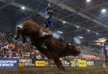 Coy Robbins Breaks Through for First PBR Canada Cup Series Win in Grande Prairie Image by Cory Moore