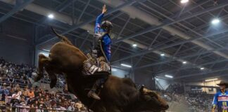 Coy Robbins Breaks Through for First PBR Canada Cup Series Win in Grande Prairie Image by Cory Moore
