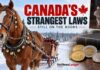 Sleigh Bells, Pet Rats and Pocket Change: Six Unusual Canadian Laws Still on the Books Canadian Laws that are still in effect