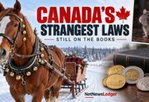 Sleigh Bells, Pet Rats and Pocket Change: Six Unusual Canadian Laws Still on the Books Canadian Laws that are still in effect