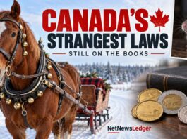Sleigh Bells, Pet Rats and Pocket Change: Six Unusual Canadian Laws Still on the Books Canadian Laws that are still in effect