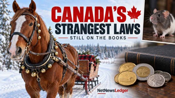 Canadian Laws that are still in effect Canadian Laws that are still in effect