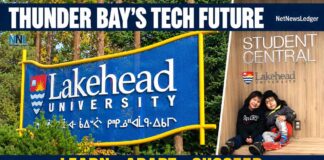 How Singapore, India and Australia Built Their Tech Industries Thunder Bay's Technology Based Future awaits