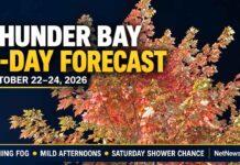 Thunder Bay Weather: Morning Fog, Mild Afternoons and a Saturday Shower Chance Thunder Bay Weather - Image is a Maple Tree on Red River Road in the Downtown
