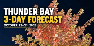 Thunder Bay Weather: Morning Fog, Mild Afternoons and a Saturday Shower Chance Thunder Bay Weather - Image is a Maple Tree on Red River Road in the Downtown