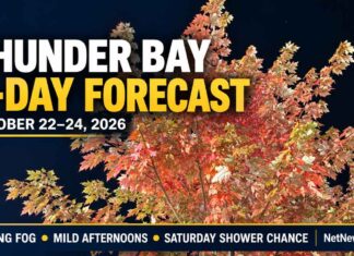 Thunder Bay Weather: Morning Fog, Mild Afternoons and a Saturday Shower Chance Thunder Bay Weather - Image is a Maple Tree on Red River Road in the Downtown