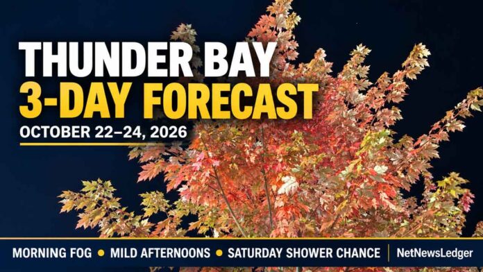 Thunder-Bay's-moonlit-autumn-forecast Thunder Bay Weather - Image is a Maple Tree on Red River Road in the Downtown