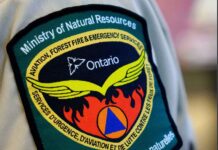 Eight wildland fires remain active in Northwestern Ontario on October 15, 2026 Eight wildland fires remain active in Northwestern Ontario on October 15, 2026. No new fires were confirmed, and the regional fire hazard remains low