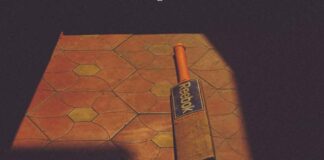 One Cricket Match, Three Feeds and Several Versions of Live Cricket Bat
