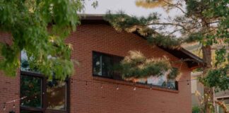 Inside a Modern Pest-Control Visit: Mira Home on What Homeowners Should Expect Before, During and After Treatment Pest control
